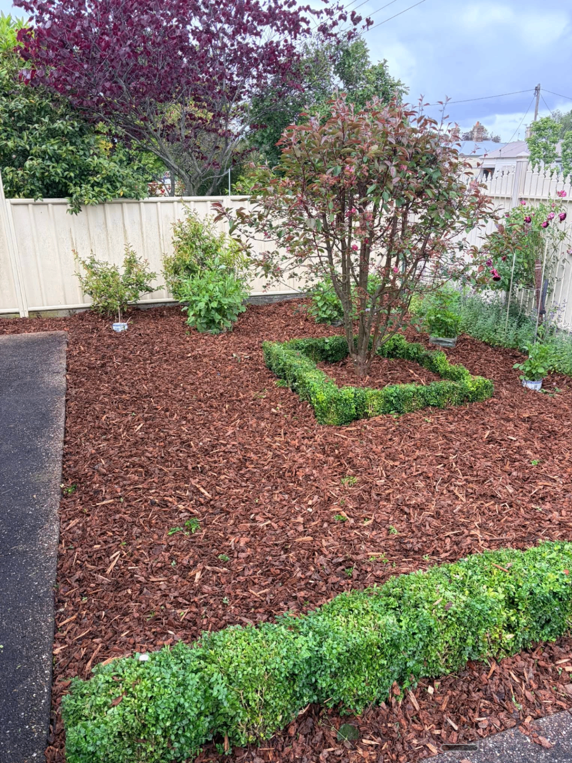 Tidied garden bed — after