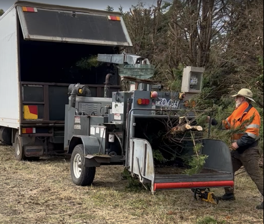 On-site chipping & clean-up